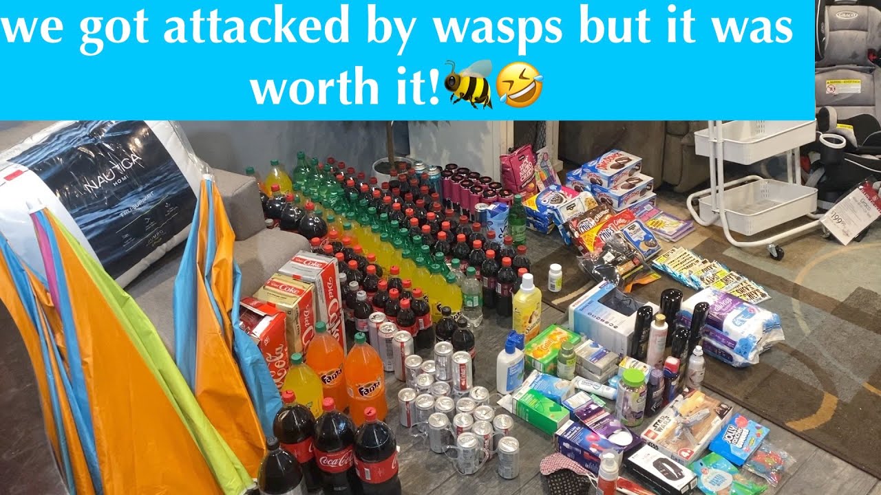 DUMPSTER DIVIN// LOTS OF SODA TO WASH DOWN ALL THOSE COOKIES FROM THE LAST DIVE 🤣 + MORE!