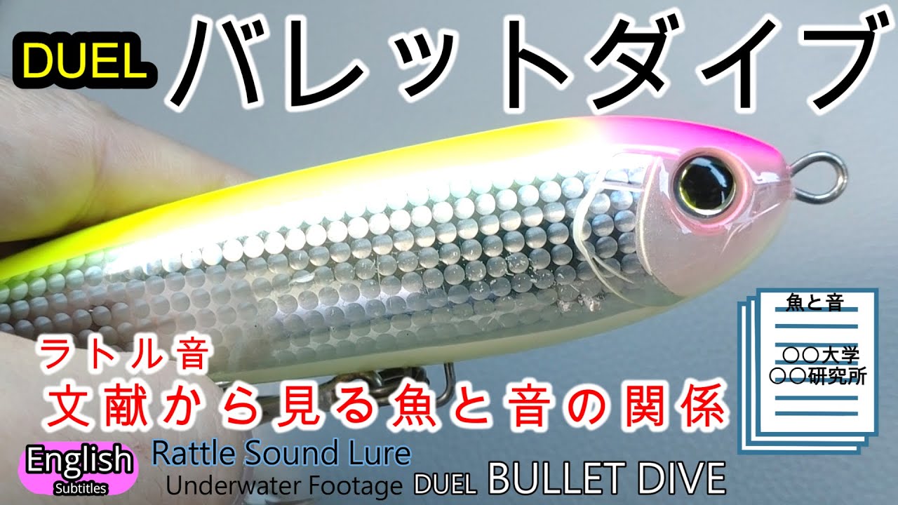 デュエル　バレットダイブ ラトル音ルアー水中映像　どう聞こえる？　文献から魚と音を考察【ショアジギング】ショアプラッギング