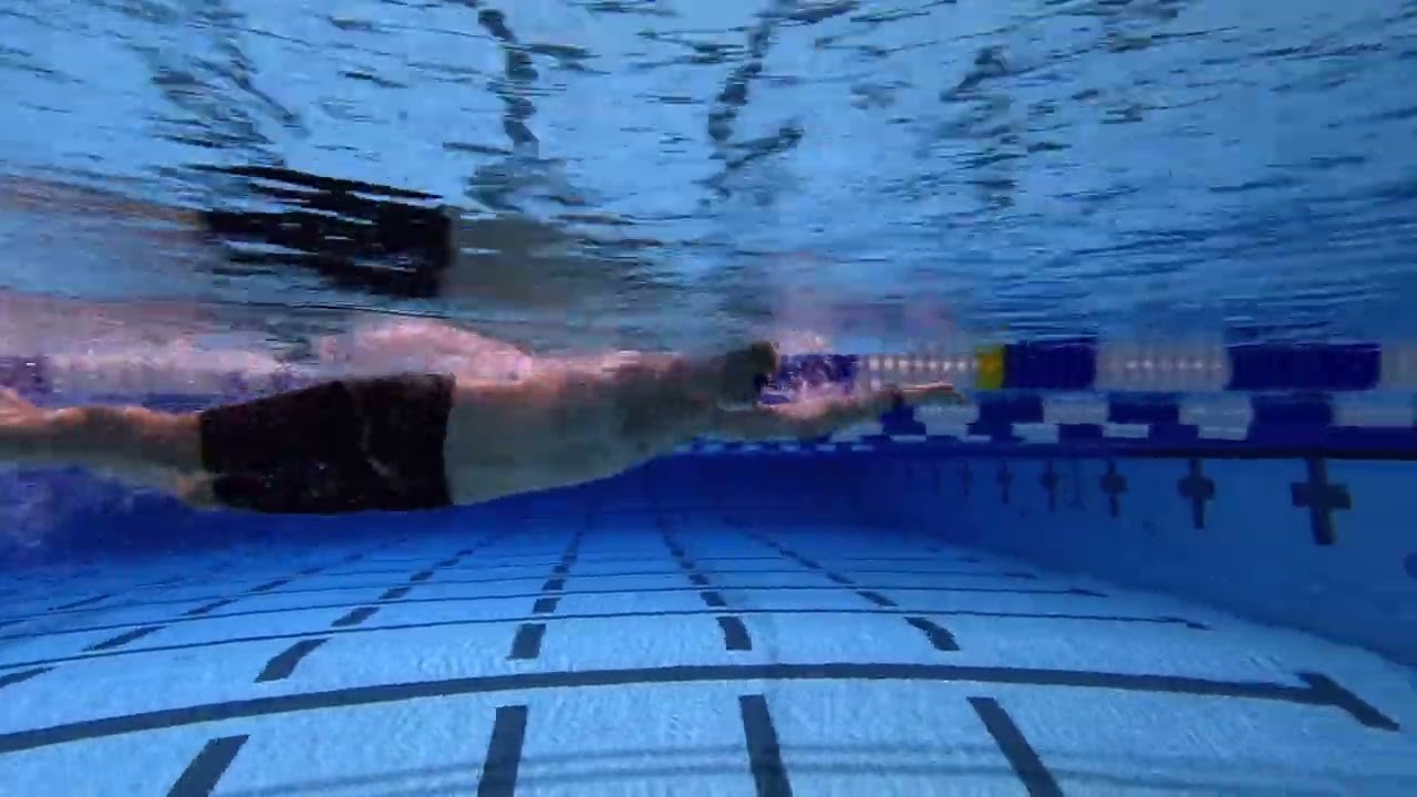 Reed Swimming Technique January 2026