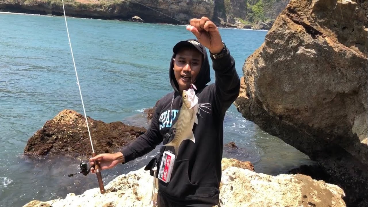 Musim Ikan Pinggiran telah tiba‼️ Karang Selatan Pantai Ngluwen Jadi Sarang Ikan Ikan