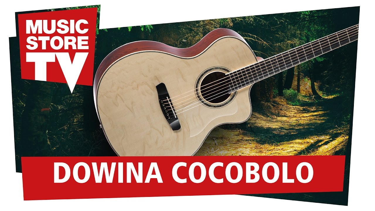 Dowina Cocobolo Custom Shop Gitarre GACE-ds