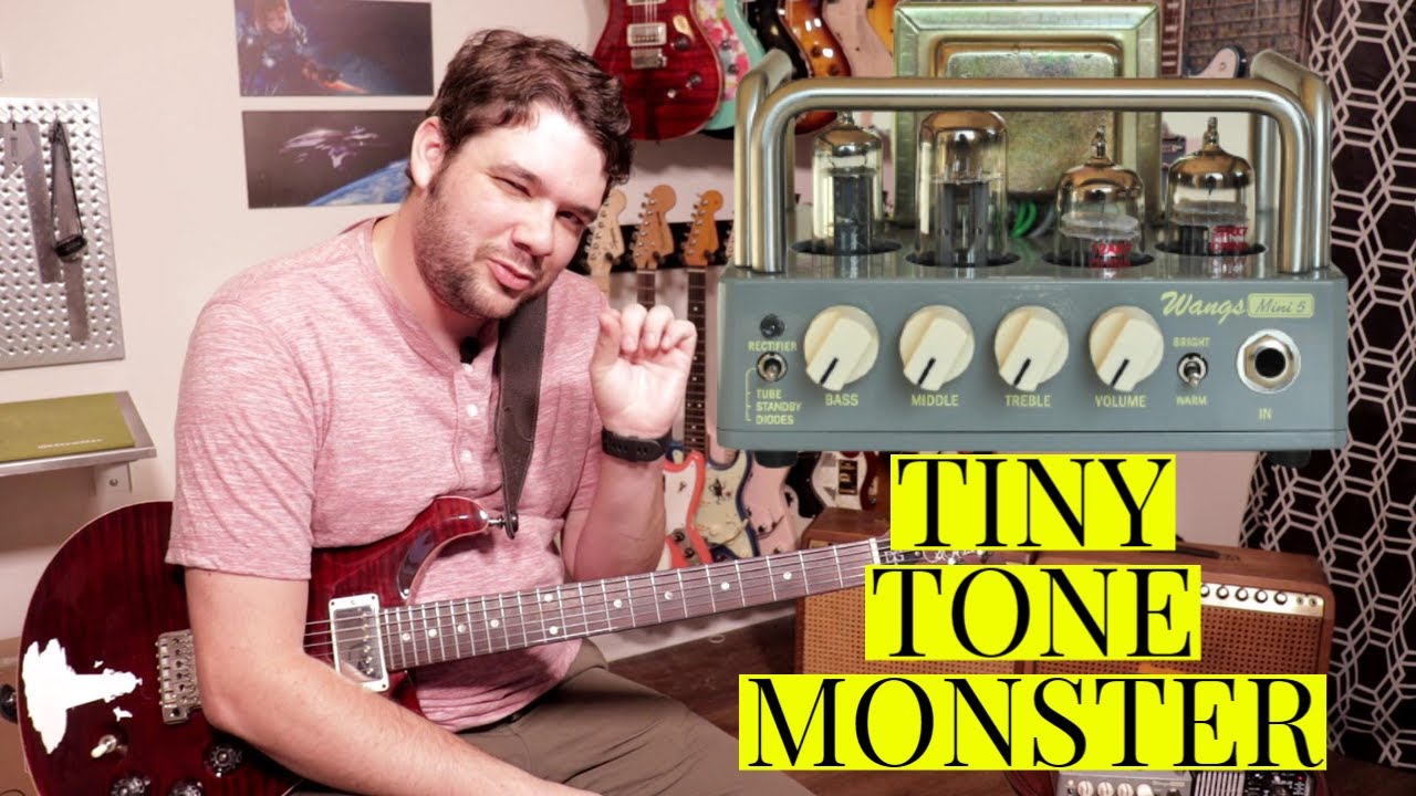 Best TUBE Amp for $240?? Wangs MINI 5 Demo And Review!