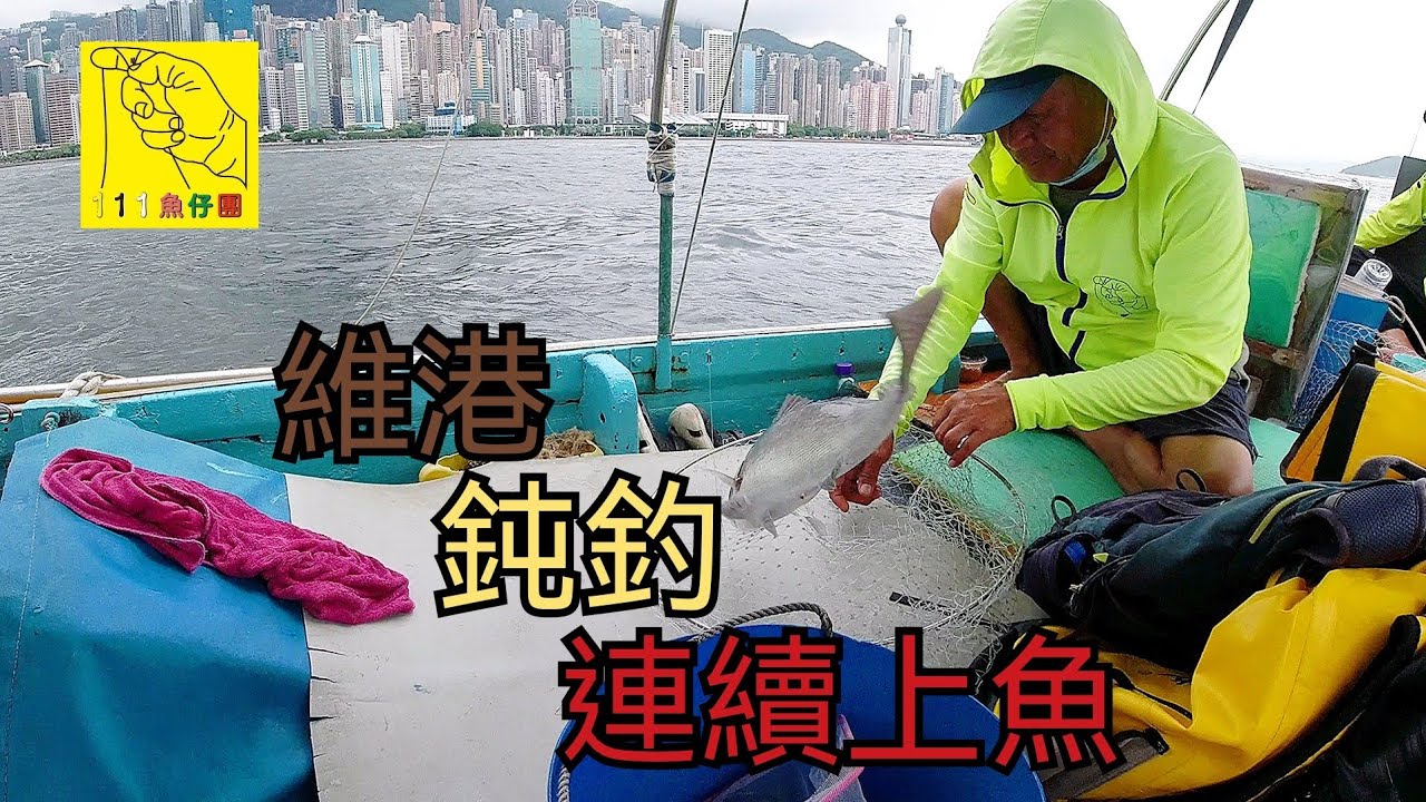 7/6/2022維港改用鈍釣蝦仔連續上魚@pangsir111   #香港釣魚