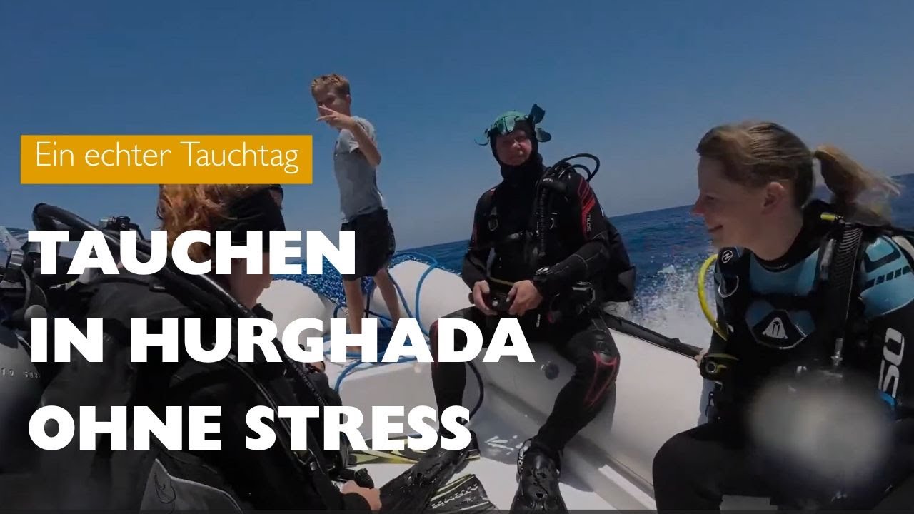 Tauchen in Hurghada &ndash; So f&uuml;hlt sich ein Tag bei uns wirklich an 🤿