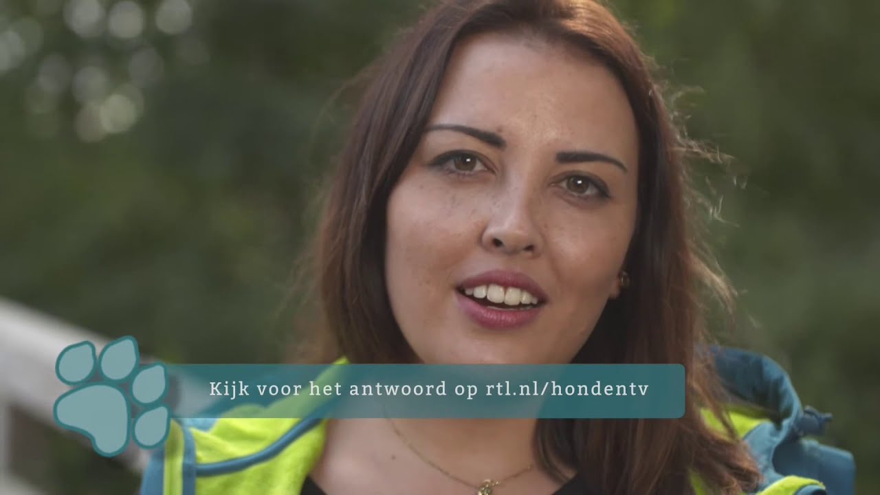 Zoektocht naar een hond deel 6