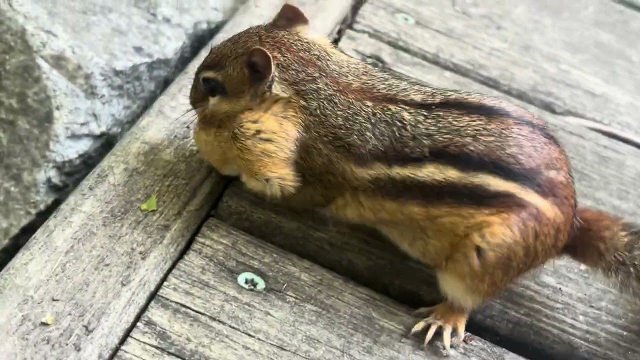 Blandly edited midnight post