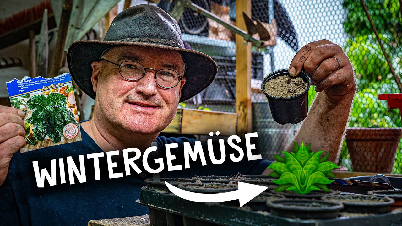 Grünkohl & Rotkohl anbauen! 🥬 - Wintergemüse im Garten ernten | Tipps für Gärtner
