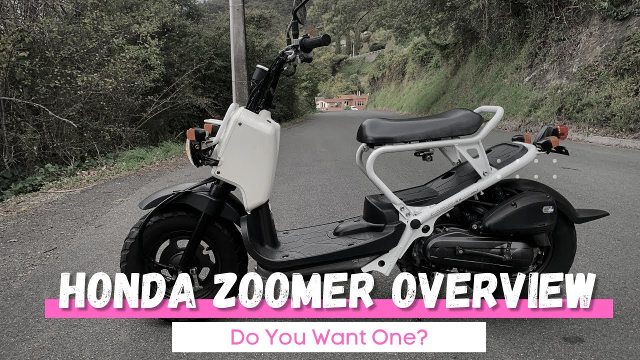 Honda Zoomer — хотите такой?