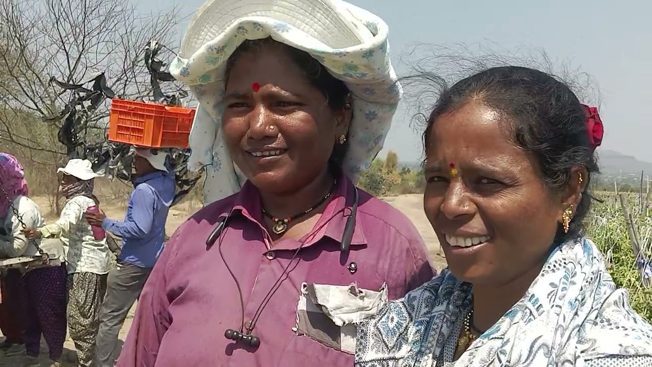 एवढ्या उन्हात असा दुपारचा टाईमपास चालतोय मंडळी आमचा आम्ही तू मला हसवण्यासाठी आम्ही जेवत पण नाहीत