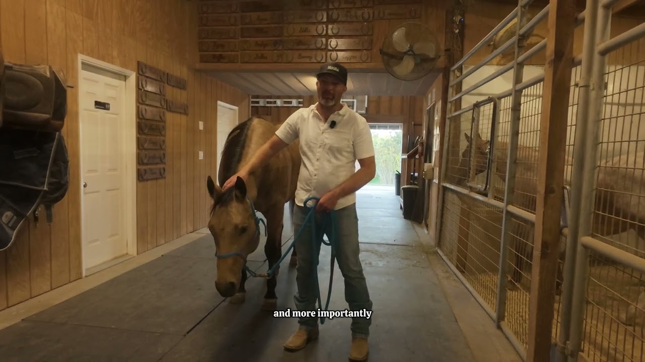 MORE HORSE TRAINING TIPS!!