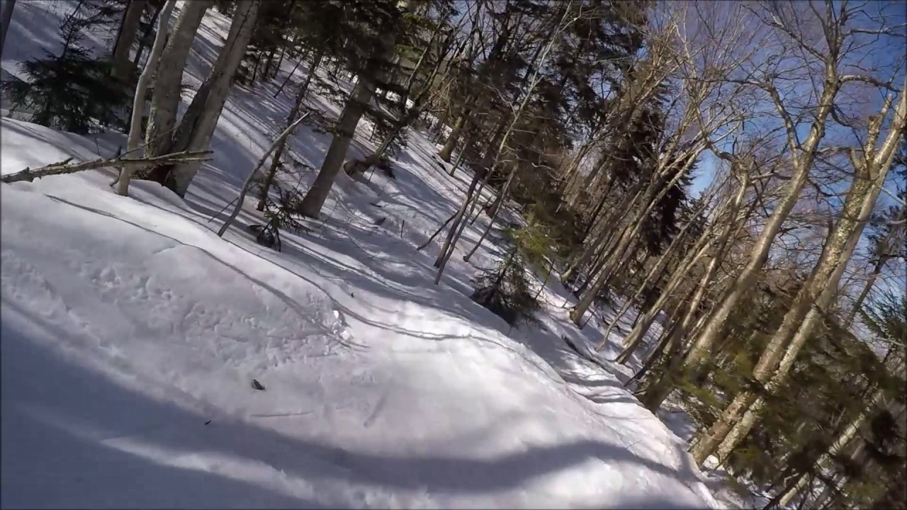 Snowboarding: Dude? Do you have to pee right here?