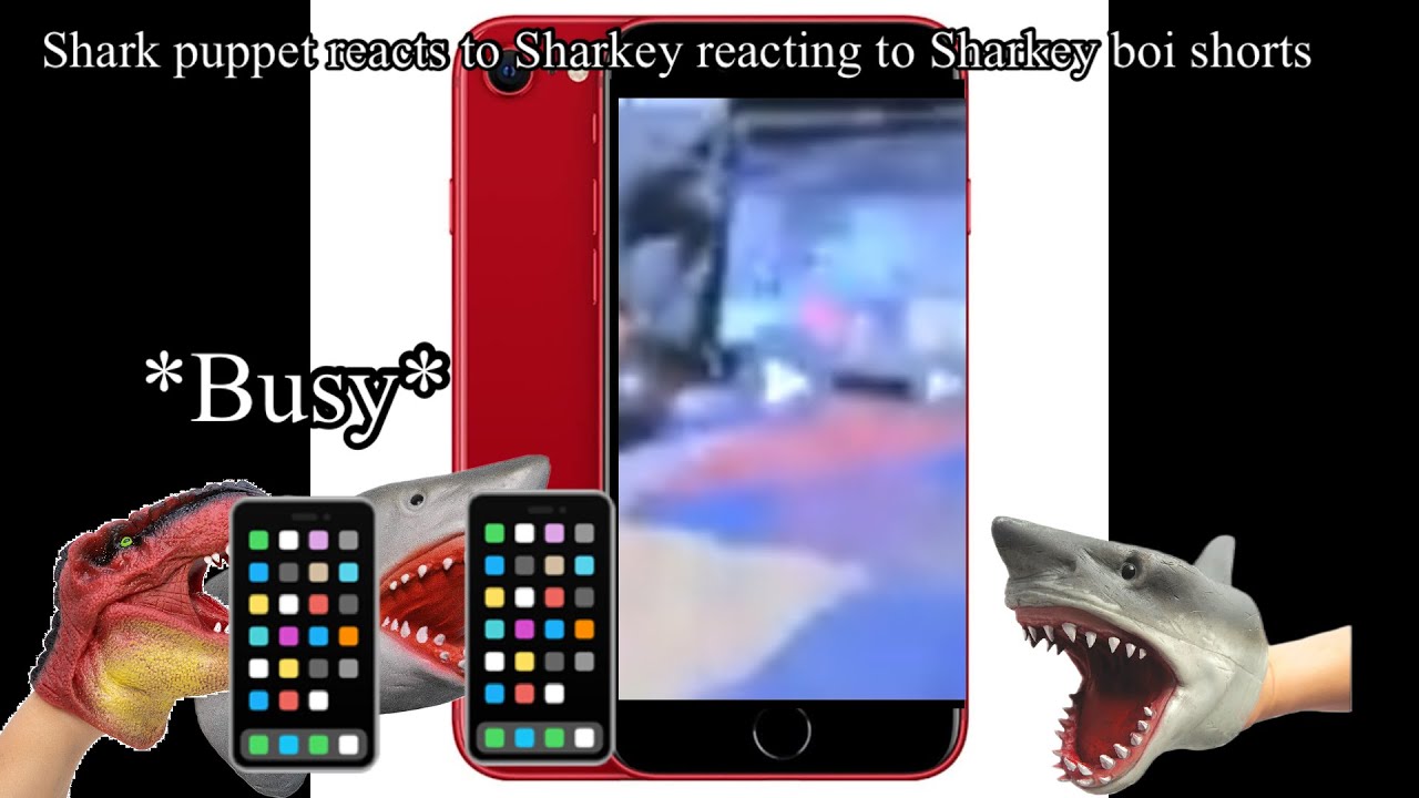 SG reacts: shark puppet watches @Sharkey-y9i watching @itssharkeyboi shorts!