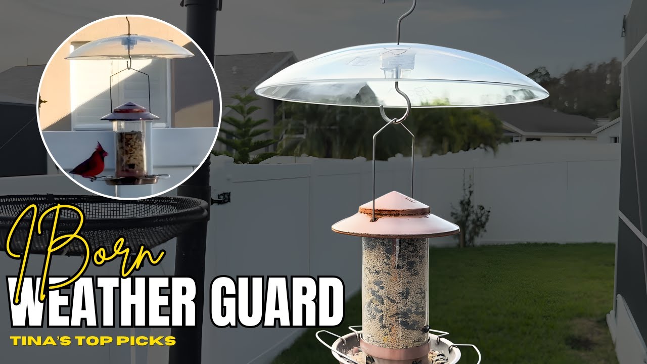 Iborn Weather Guard Setup And Protection Test