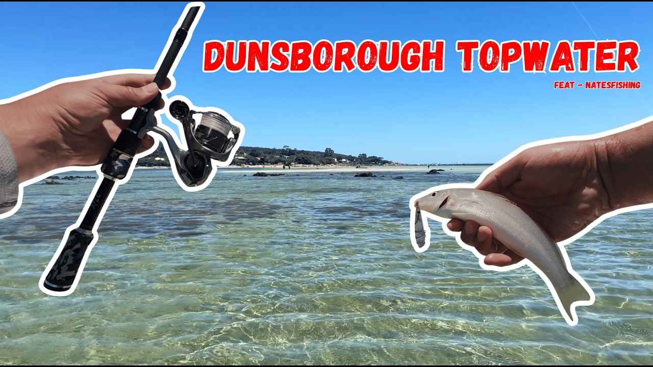 Fishing Topwater For Whiting In DUNSBOROUGH!! | Lots Of Fish!!