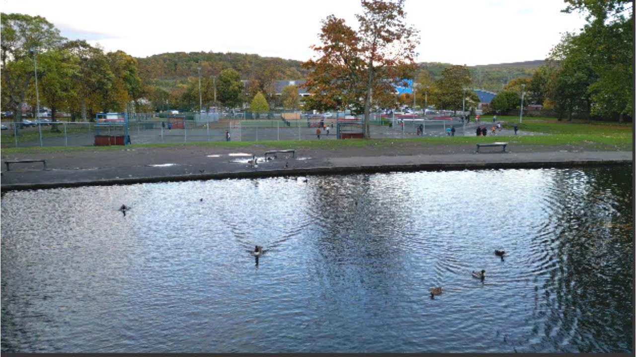 Hillsborough Park | 4K