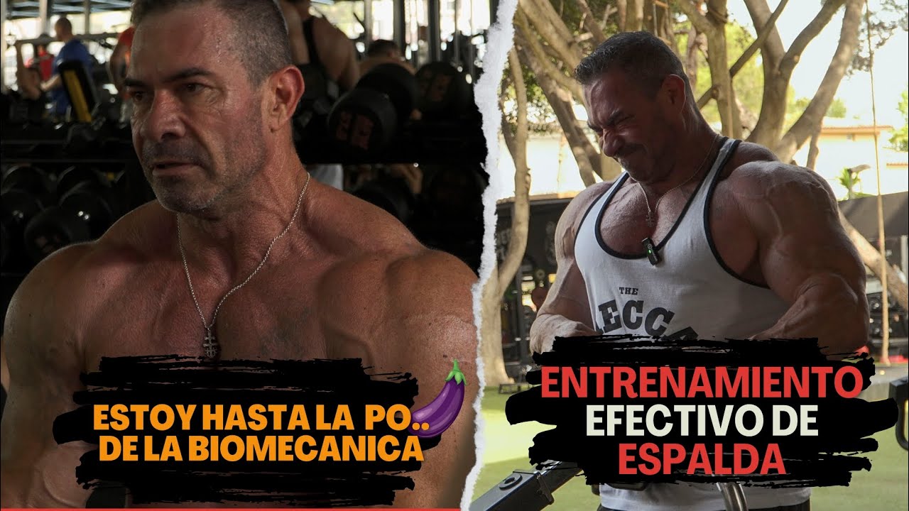 Entrenamiento efectivo de espalda