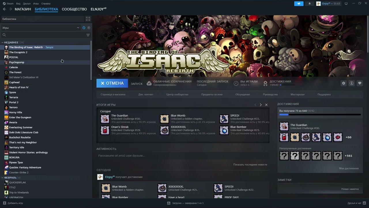 Почему не запускается The Binding of Isaac: Rebirth