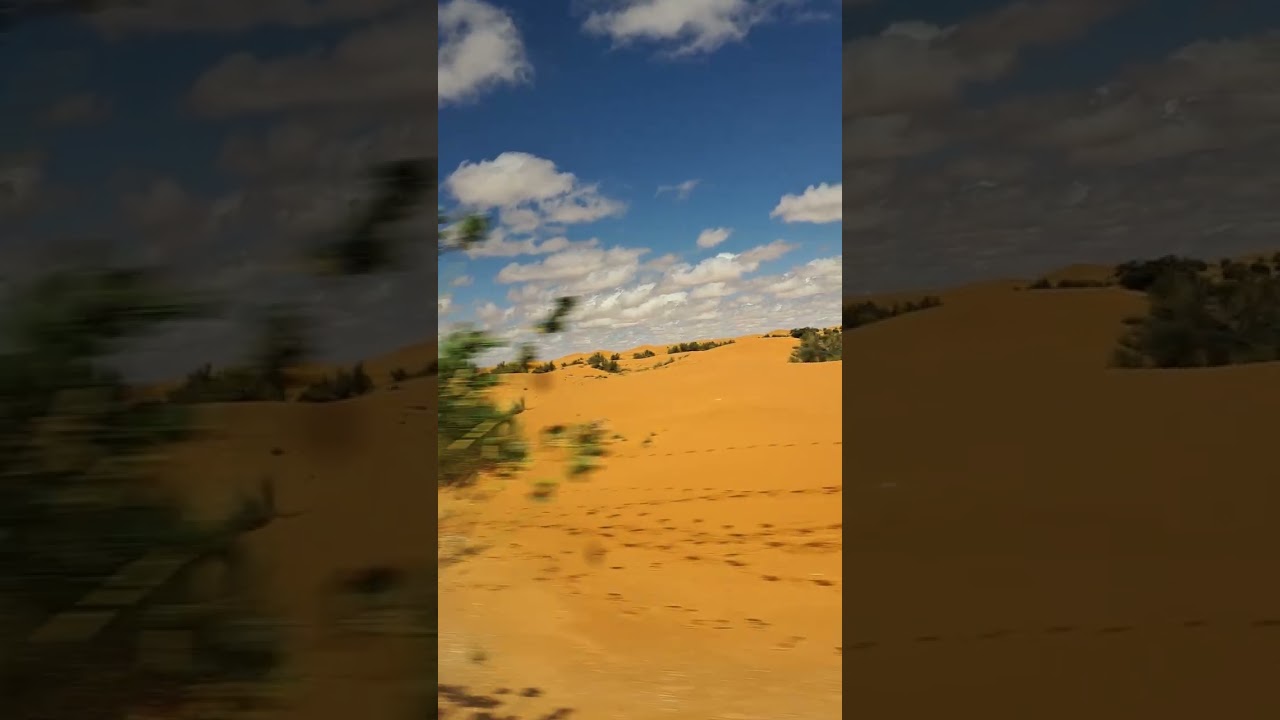 African Tour From Savanah to the Sahara