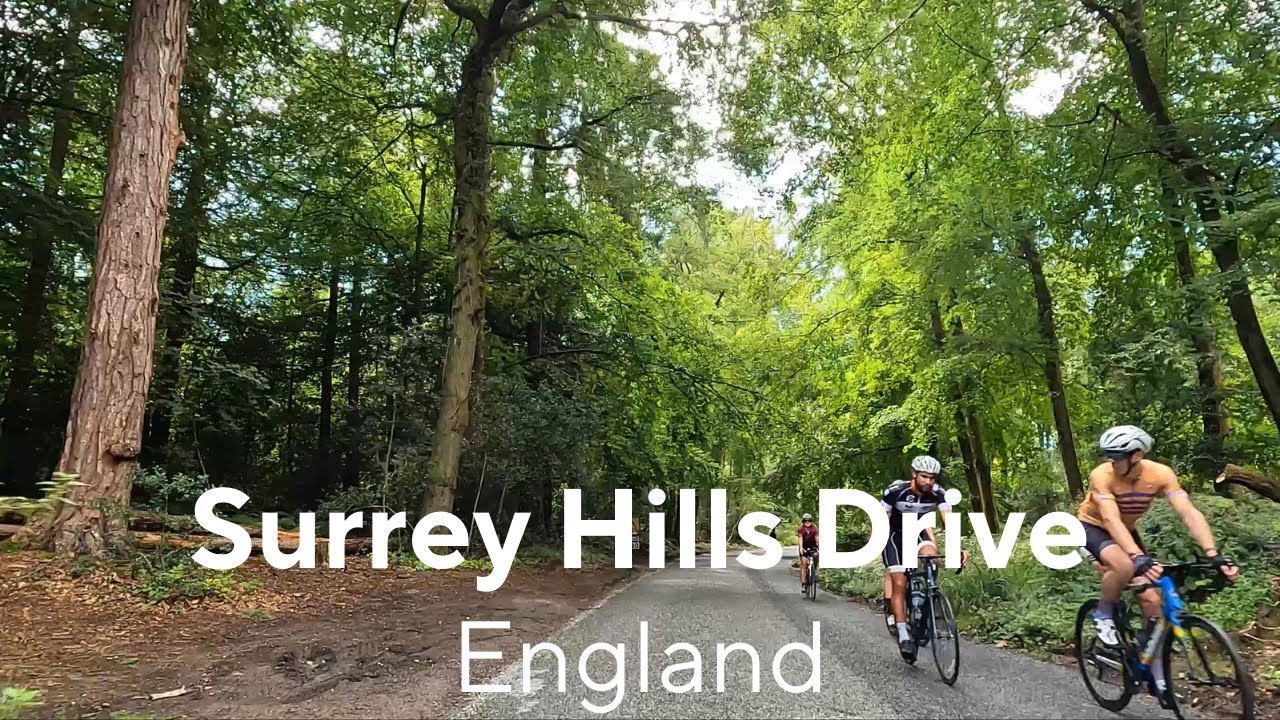 Surrey Hills Drive | Beautiful English Countryside | Rolling Hills and Narrow Country Lanes