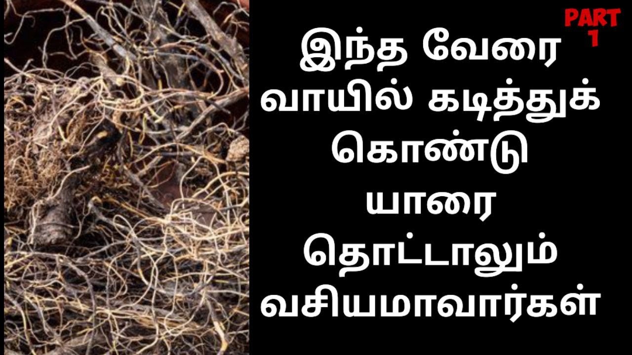 #vasiyam  அட்டமா சித்துக்களை அள்ளித் தரும் யாரைத் தொட்டாலும் வசியமாவார்கள்Siththarkal Vasiyam|#aura