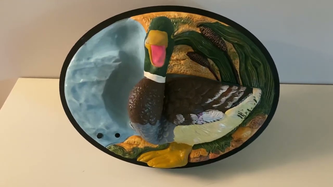 Dexter the Singing Duck