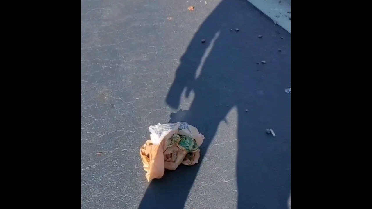 Basic Dude Stuff # 15