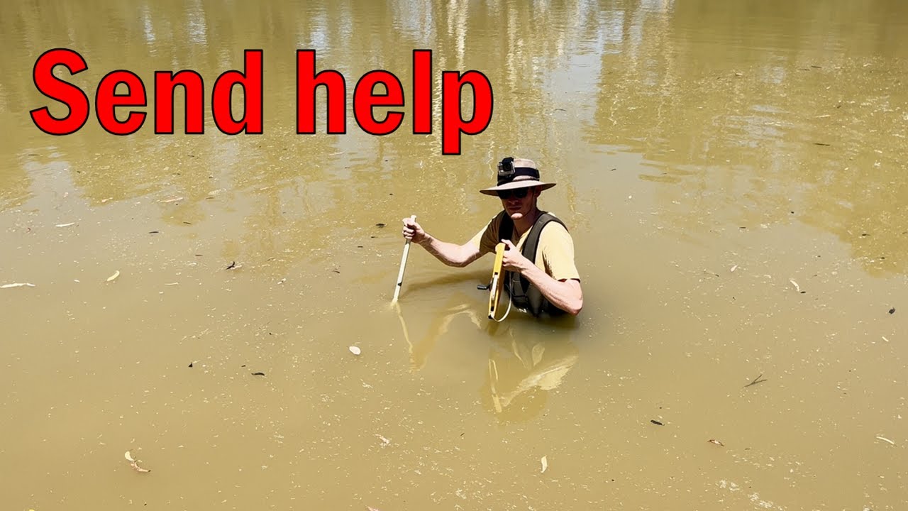 Is studying an environmental science PhD a good idea?