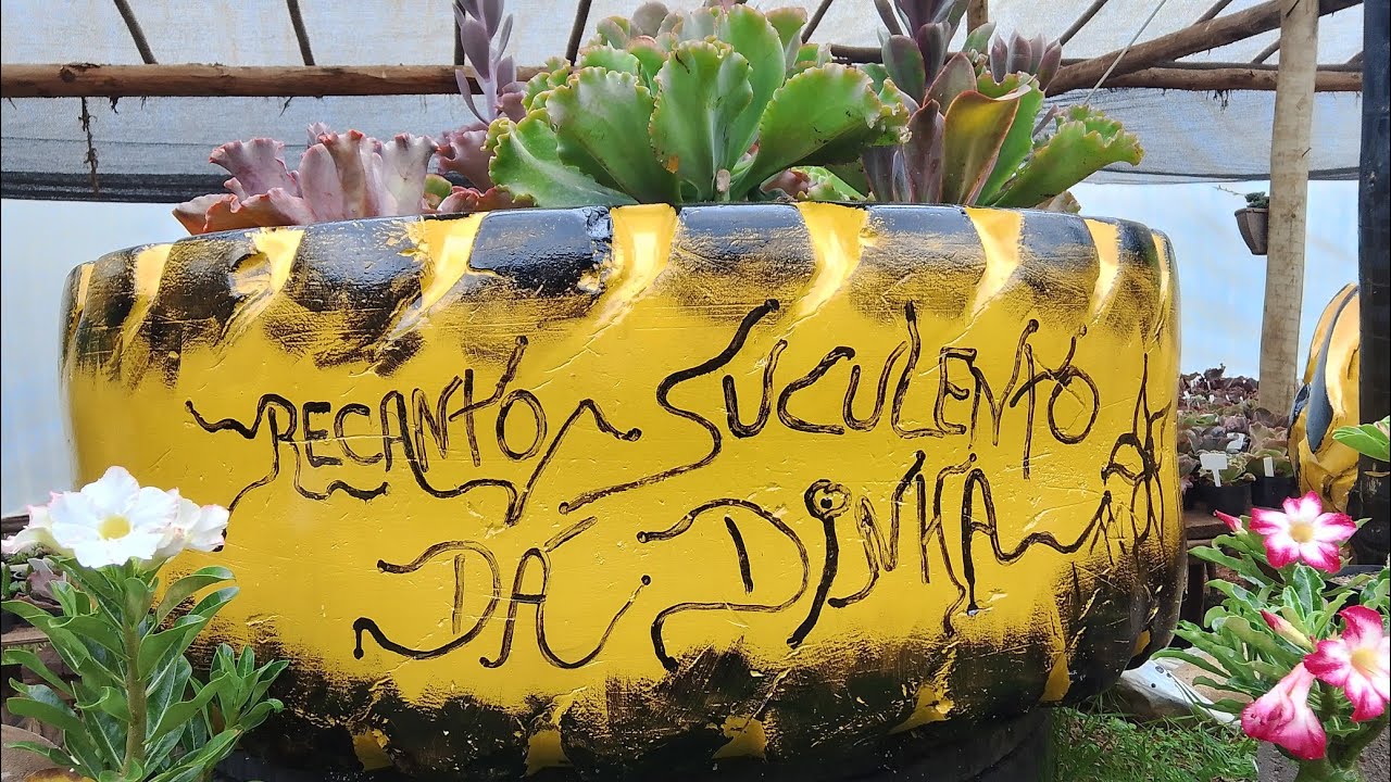 Venham ver o novo Recanto Suculento da Dinha 🥹🙏 Feliz Ano Novo!🥳🎊🍾