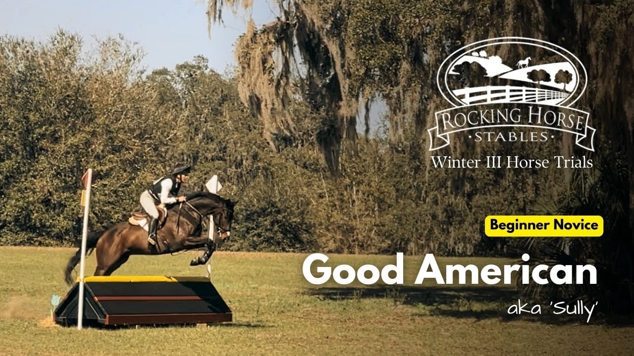 Good American aka Sully (Beginner Novice | 2025 Rocking Horse Winter III Horse Trials)