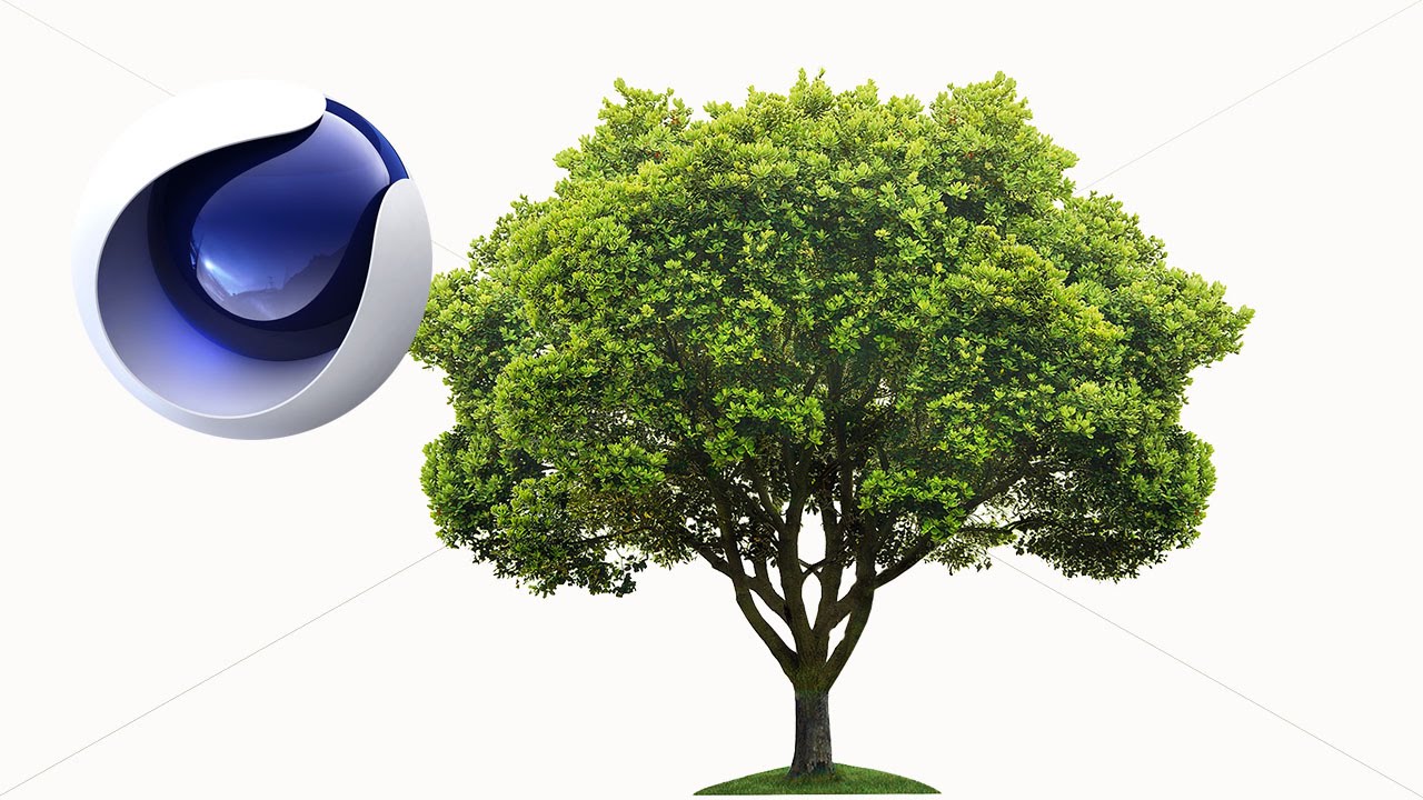 Cinema 4D: How to Grow a Tree part 2