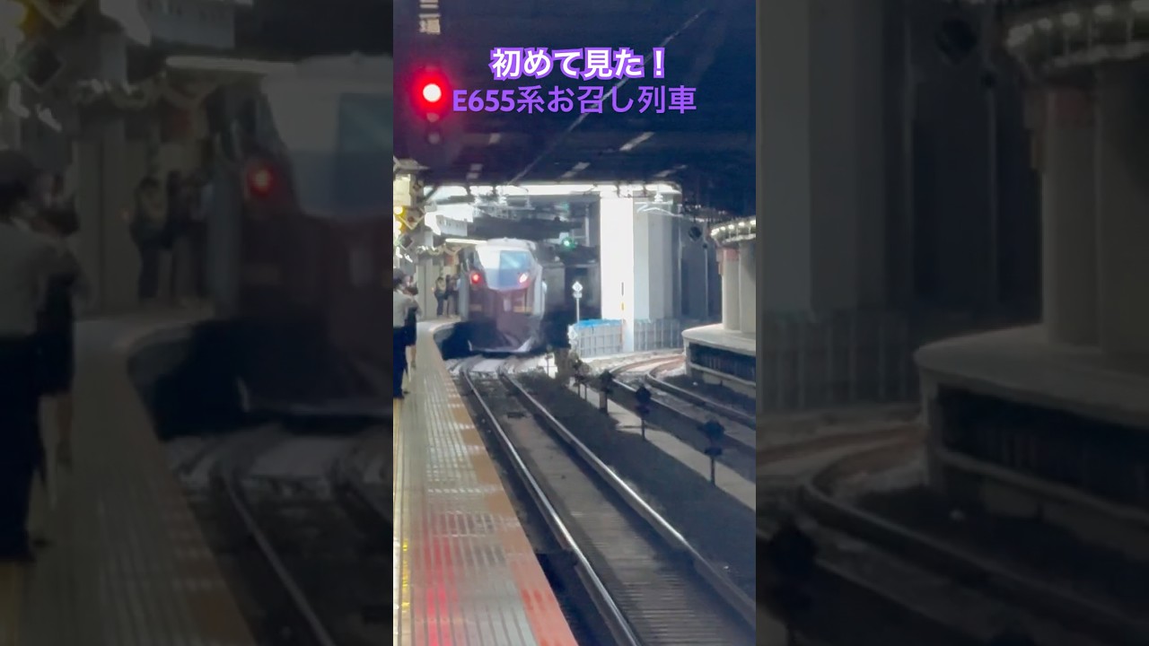初めて見たE655系お召し列車 