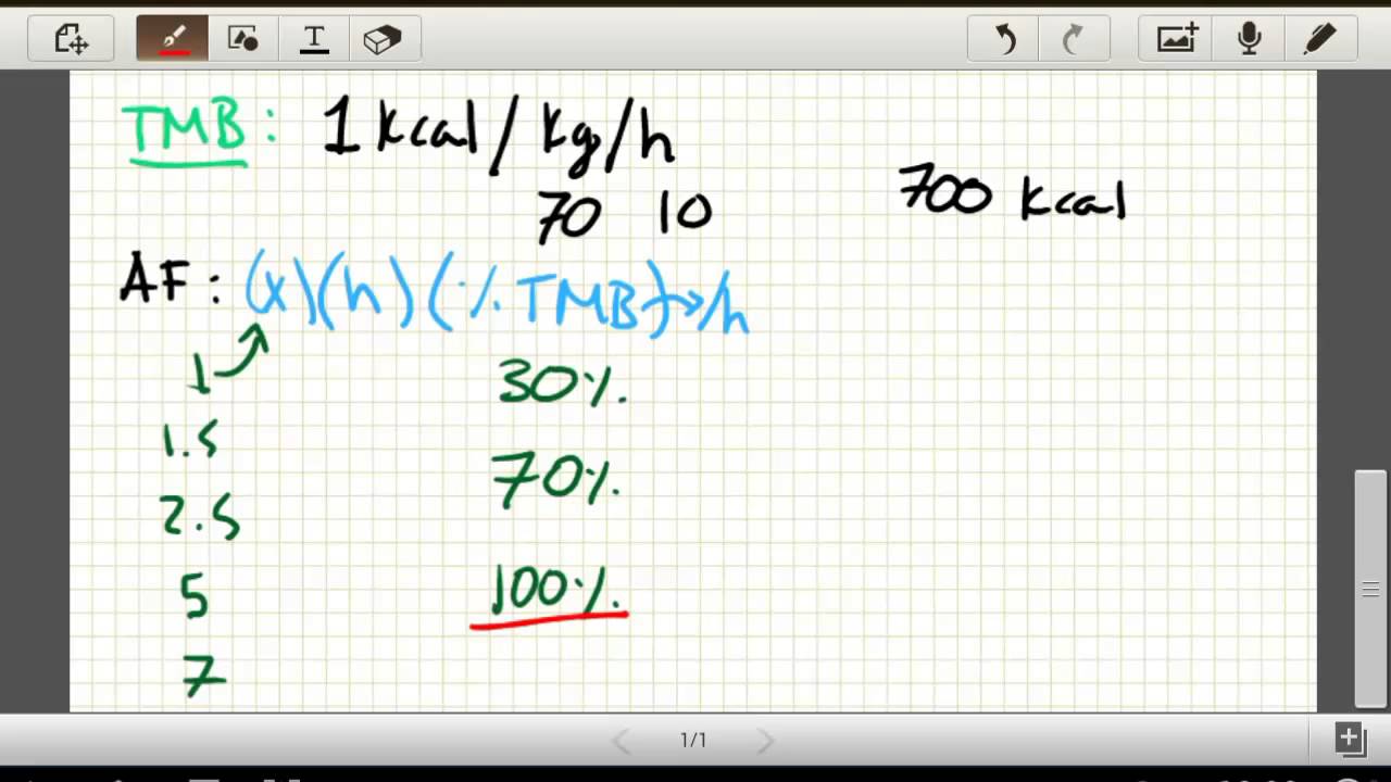 Como Perder Peso En Poco Tiempo - TuUniversidadVirtual