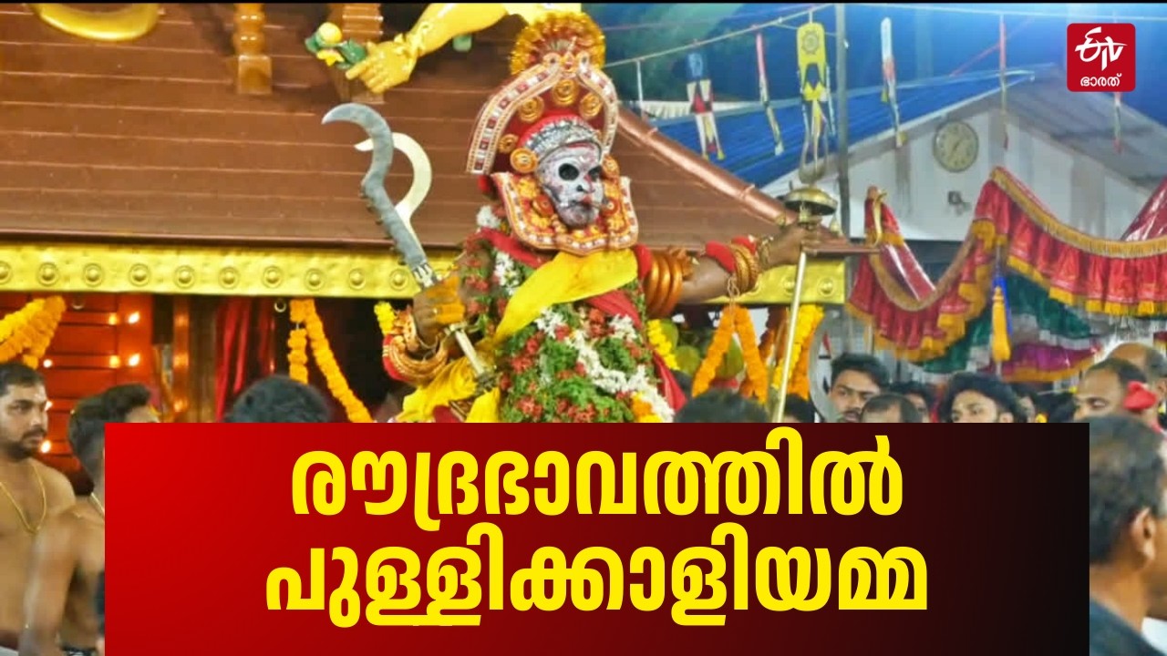 കരുവാരക്കൽ കാവിലെ വെള്ളാട്ട് മഹോത്സവം: ഭക്തസഹസ്രങ്ങൾ സാക്ഷിയായ പുണ്യനിമിഷം