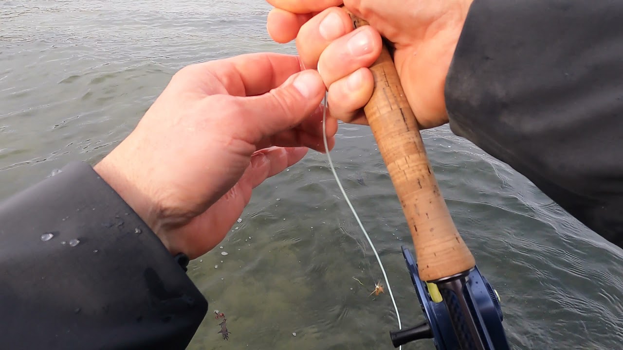 Seatrout love worm-fly in the early spring ;)