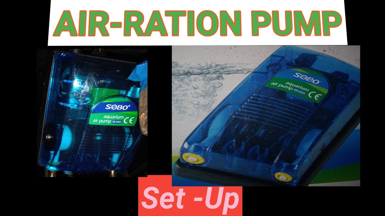 বায়োফ্লকে অক্সিজেন মেশিন লাগানো।  Oxizen machine setup