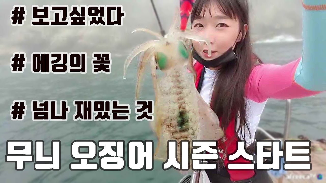 이게 바로 소고기 보다 비싸다는 오징어!