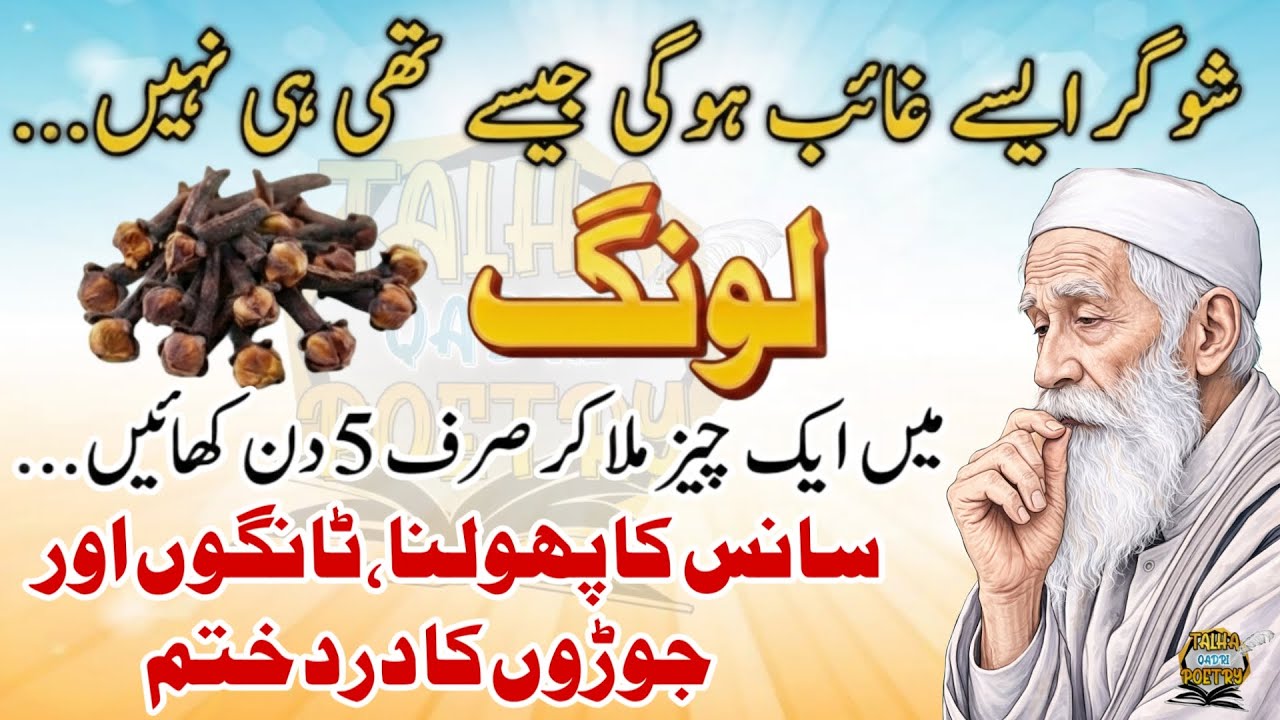 Quotes About life | Rumi Quotes | Sunheri Golden Words | Best Urdu Quotes | Hikmat ke baatin