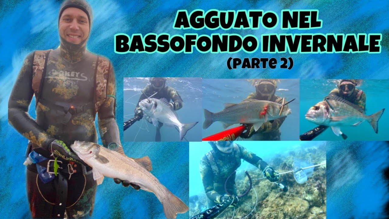 PESCASUB-Agguato nel Bassofondo Invernale (parte2)| SPEARFISHING- Ambush in the Winter Shallow Water