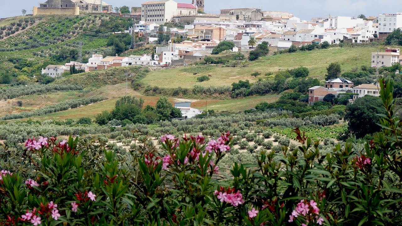 Places to see in ( Montilla - Spain )