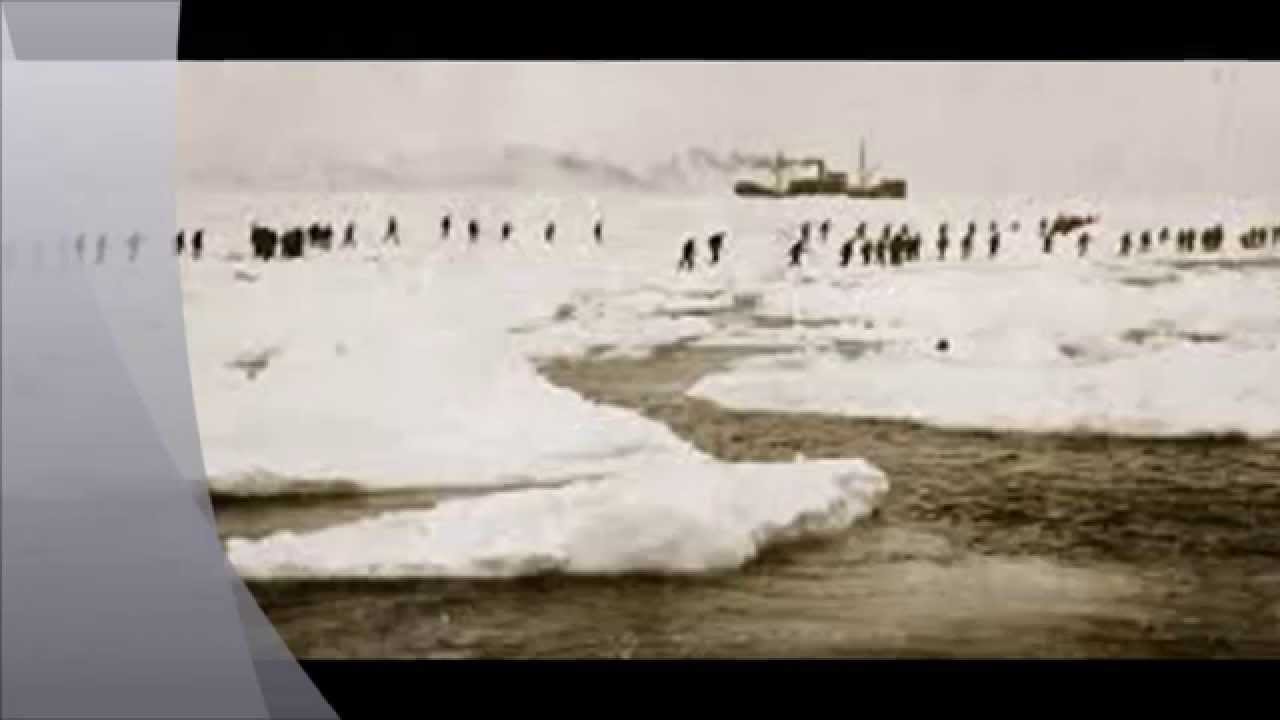 The Great Newfoundland disaster