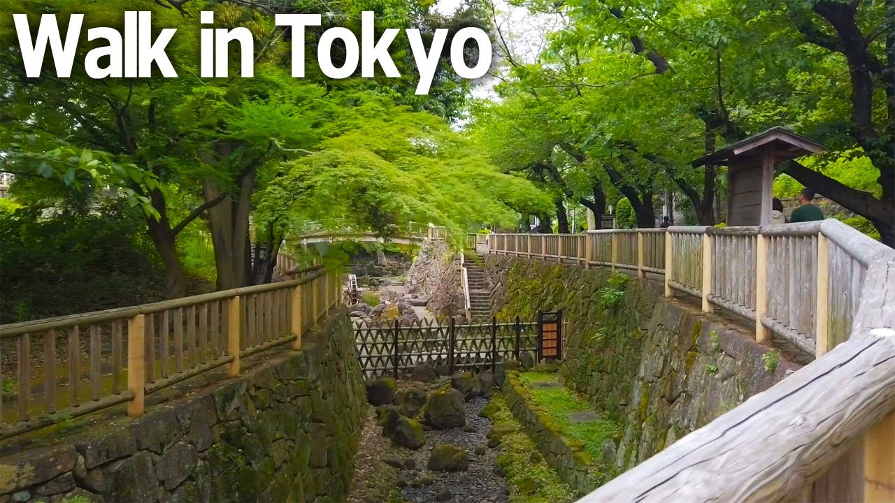Tokyo - Walking in Asukayama Park in Oji area. Fresh greenery in early summer♪ (May 2023)