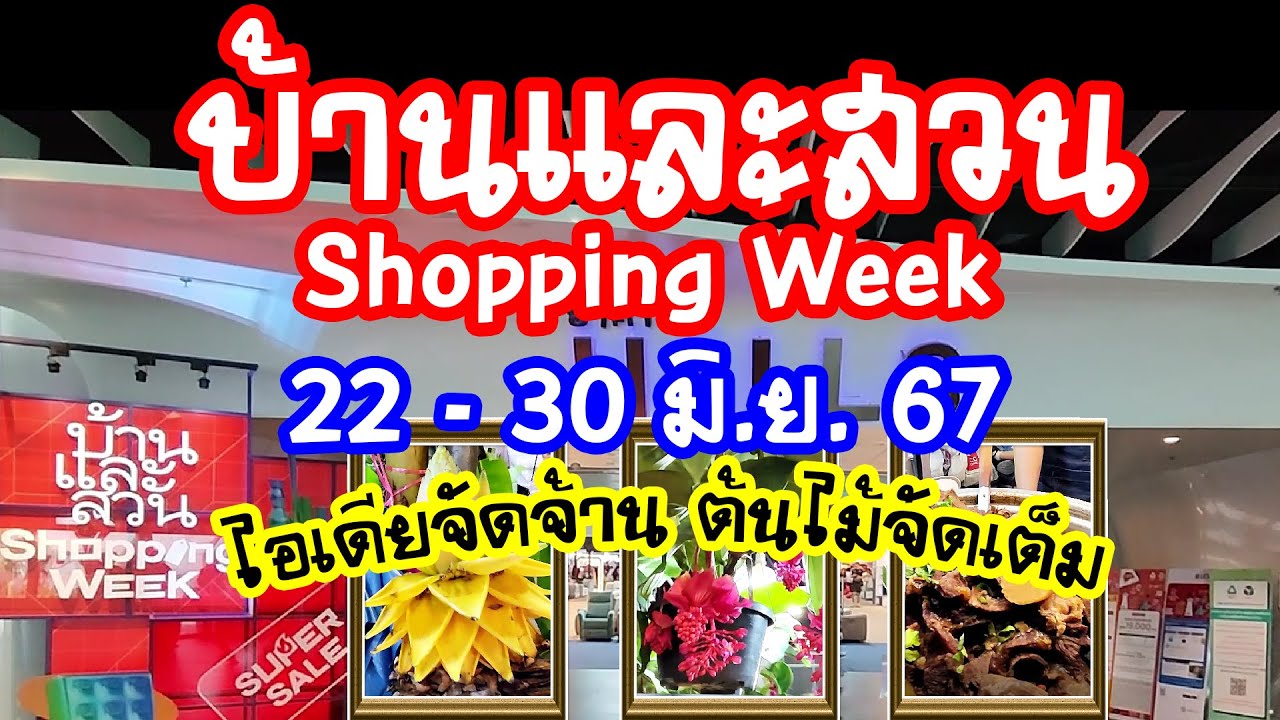 บ้านและสวน Shopping Week 2024ชวนช็อปแบบ Super Saleวันที่ 22 - 30 มิ.ย.67/Anywhere may goเมย์พาเที่ยว