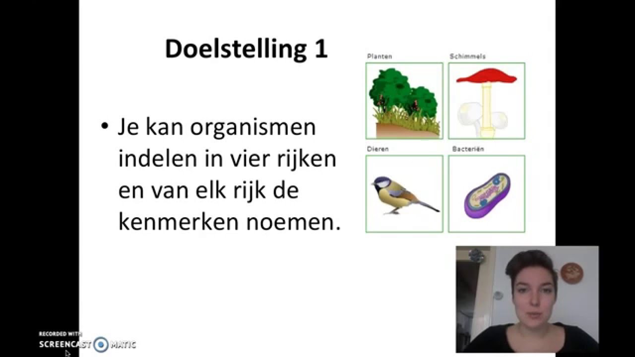 De vier rijken
