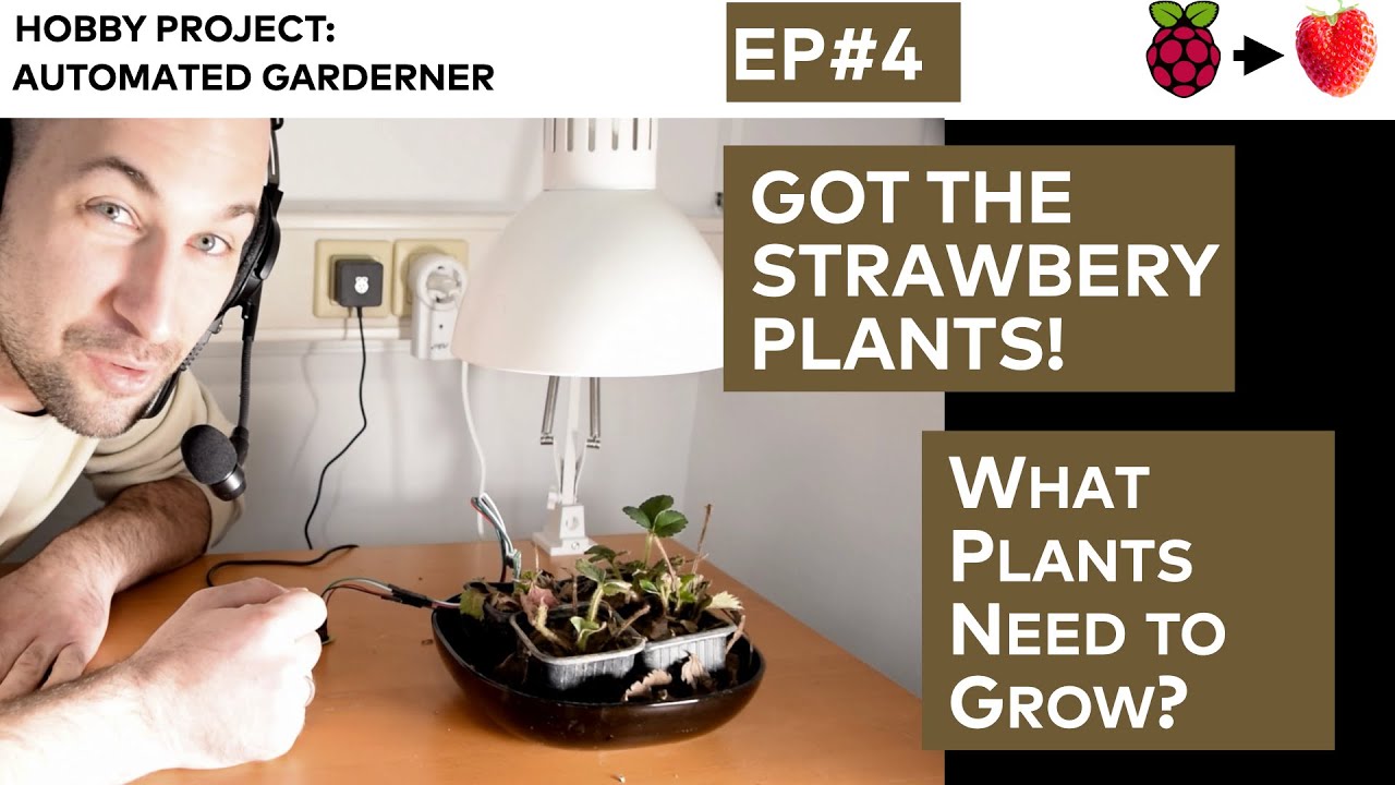 Raspberry Auto-Gardener Project: What Plants Need to Grow? (The Plan)