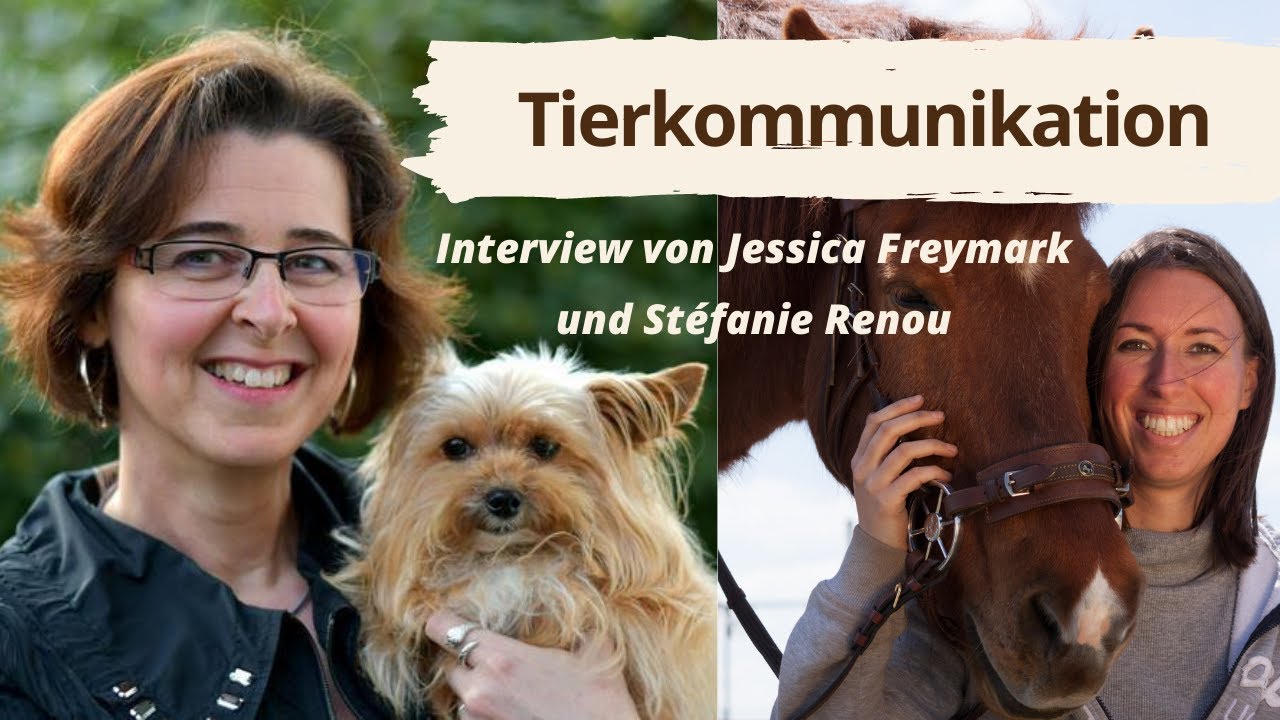 Tierkommunikation - Interview mit Stéfanie Renou (Tierstimmung.de)