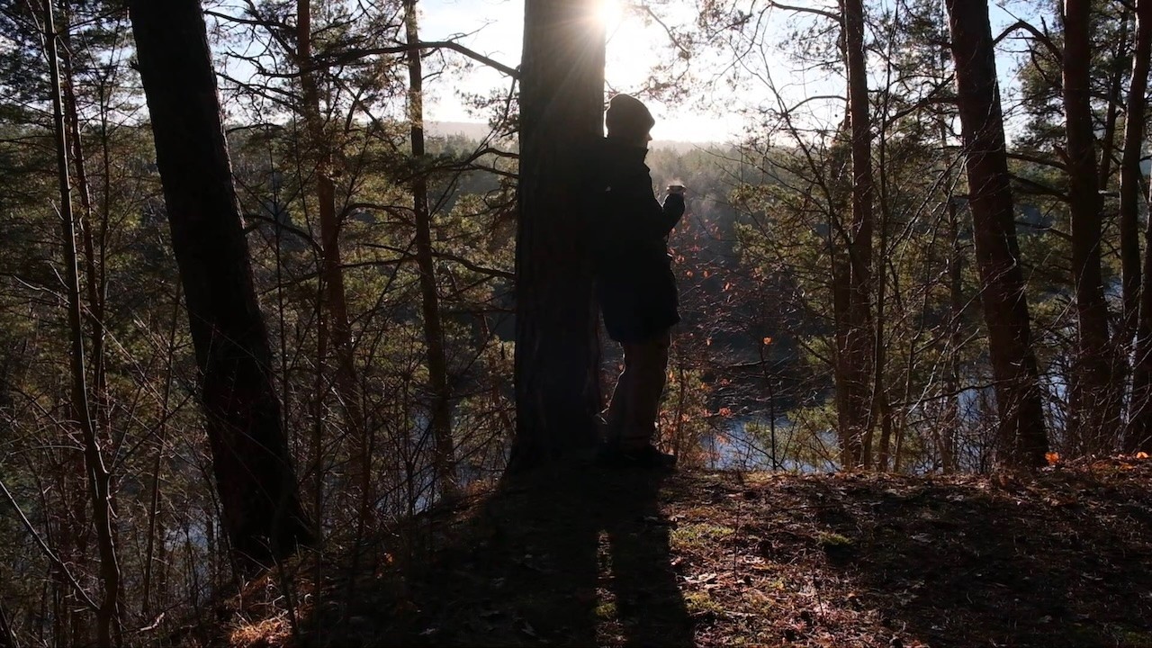 Early Winter in the Forest: A Walk Among Moss and Bare Trees