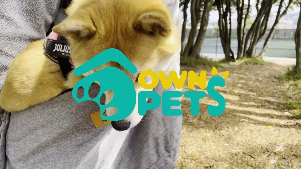 Ownpets XL Pet Sling Carrier, Extra Large Dog Sling, Fits 15 to 25lbs