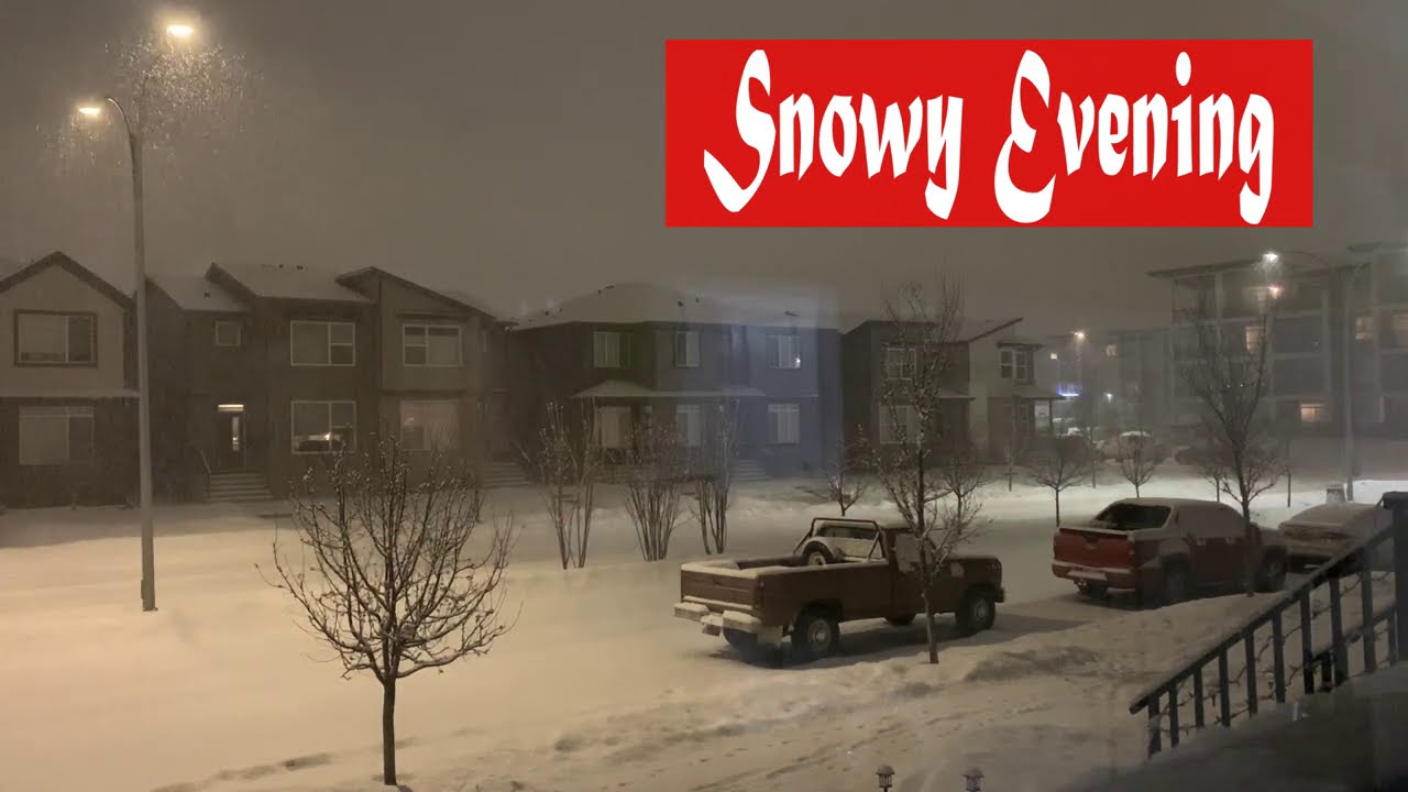 Snowy Evening