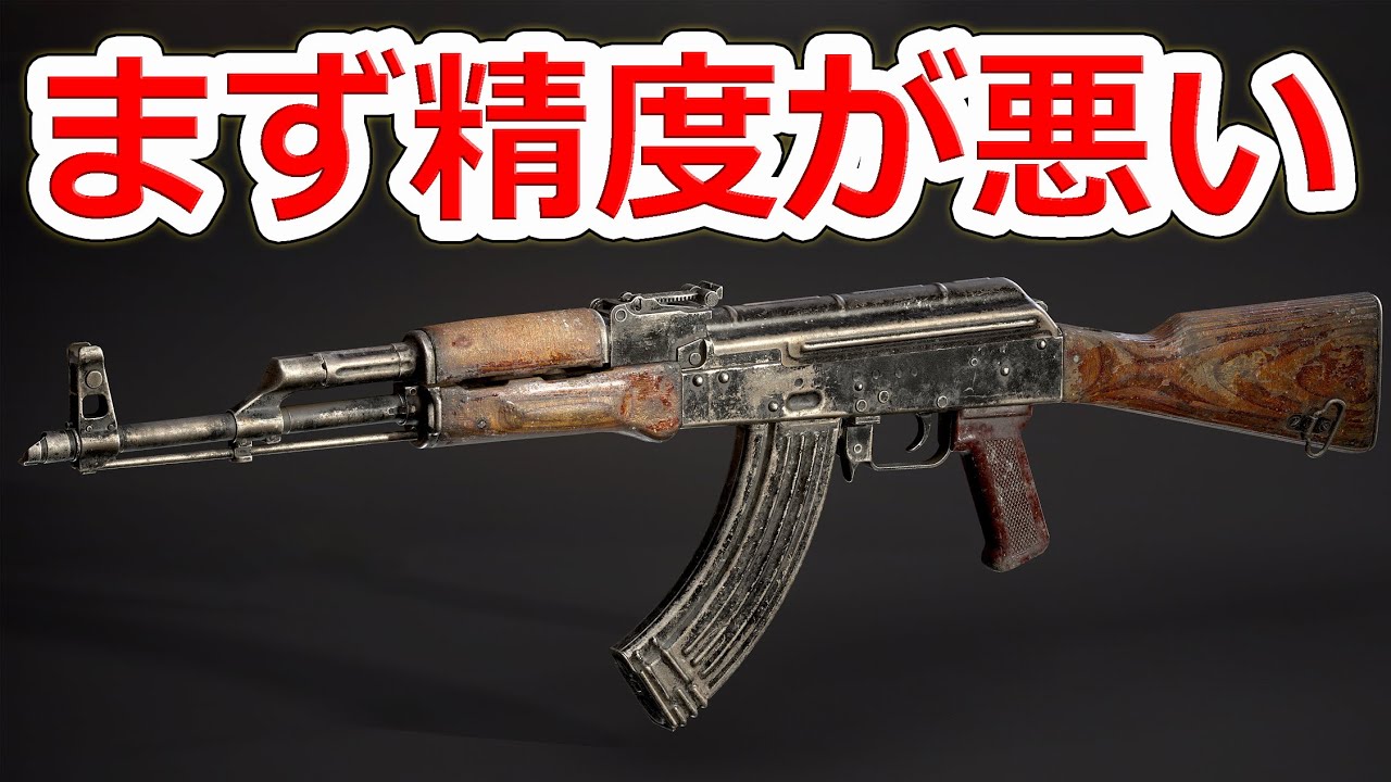 AKシリーズの欠点TOP3【実銃解説】NHG