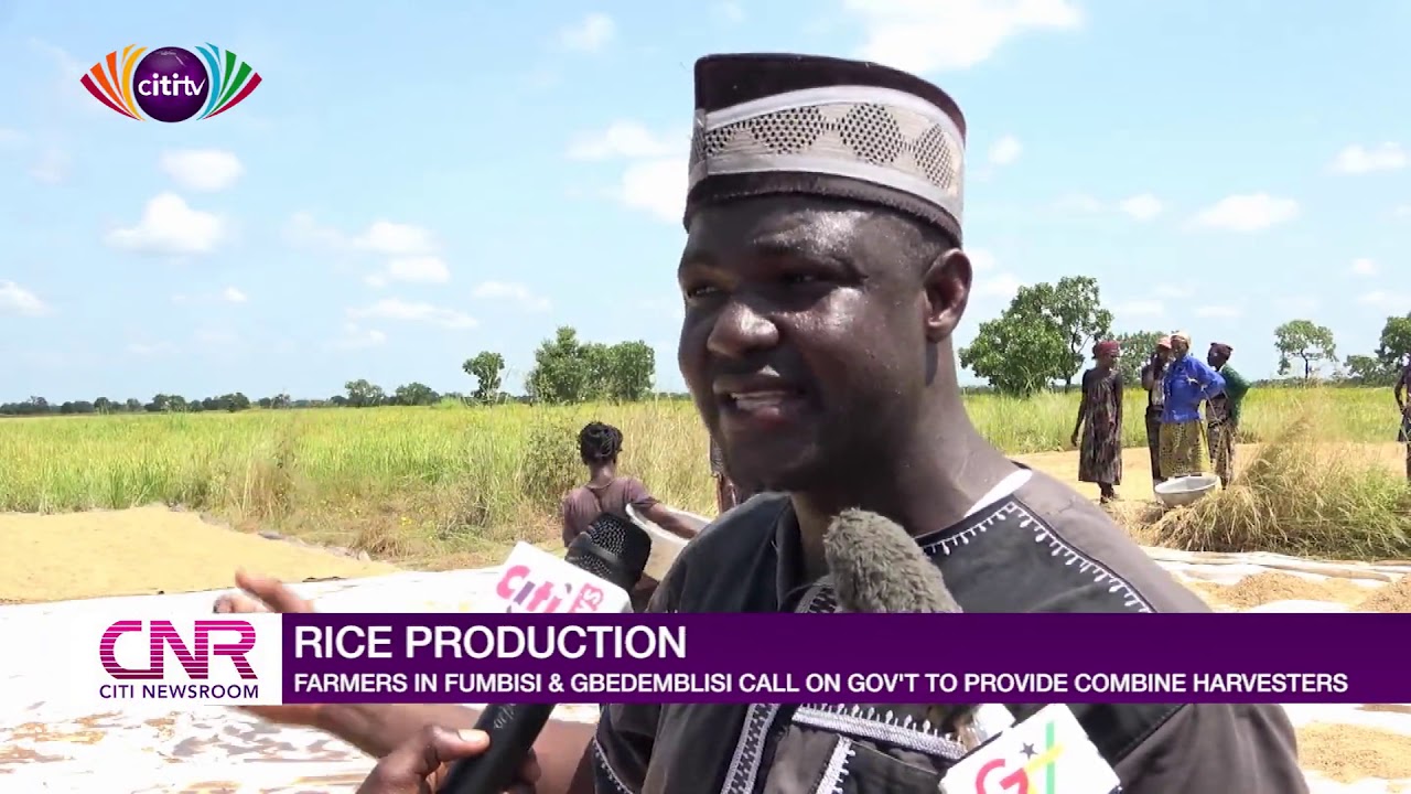Rice farmers in Fumbisi, Gbedemblisi call on government to provide combine harvesters